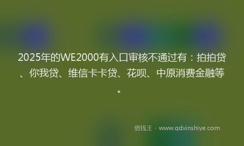 2025年的WE2000有入口审核不通过有：拍拍贷、你我贷、维信卡卡贷、花呗、中原消费金融等。
