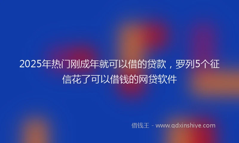 2025年热门刚成年就可以借的贷款，罗列5个征信花了可以借钱的网贷软件