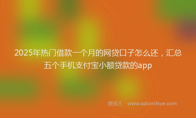 2025年热门借款一个月的网贷口子怎么还，汇总五个手机支付宝小额贷款的app
