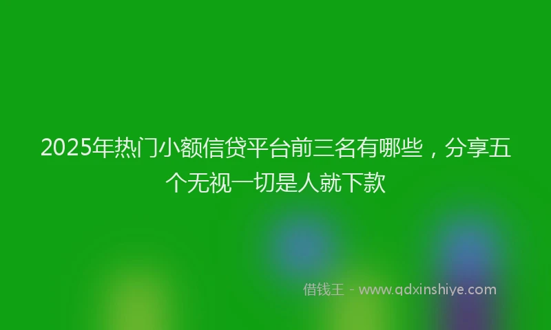 2025年热门小额信贷平台前三名有哪些，分享五个无视一切是人就下款