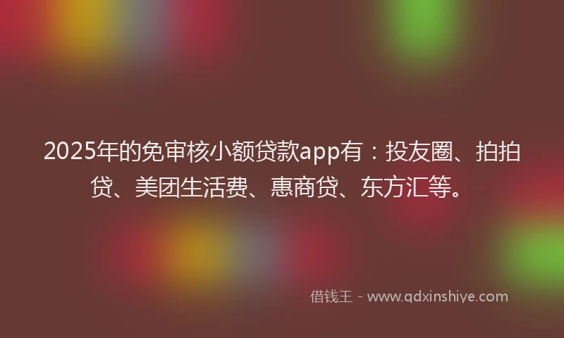 2025年的免审核小额贷款app有：投友圈、拍拍贷、美团生活费、惠商贷、东方汇等。