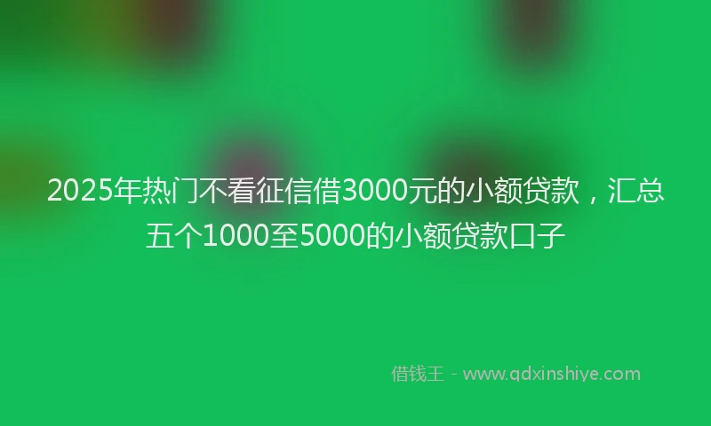 2025年热门不看征信借3000元的小额贷款，汇总五个1000至5000的小额贷款口子