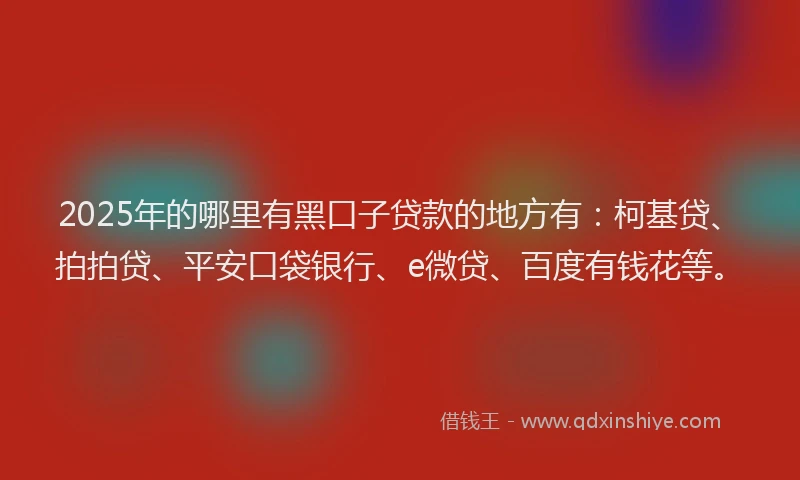 2025年的哪里有黑口子贷款的地方有：柯基贷、拍拍贷、平安口袋银行、e微贷、百度有钱花等。