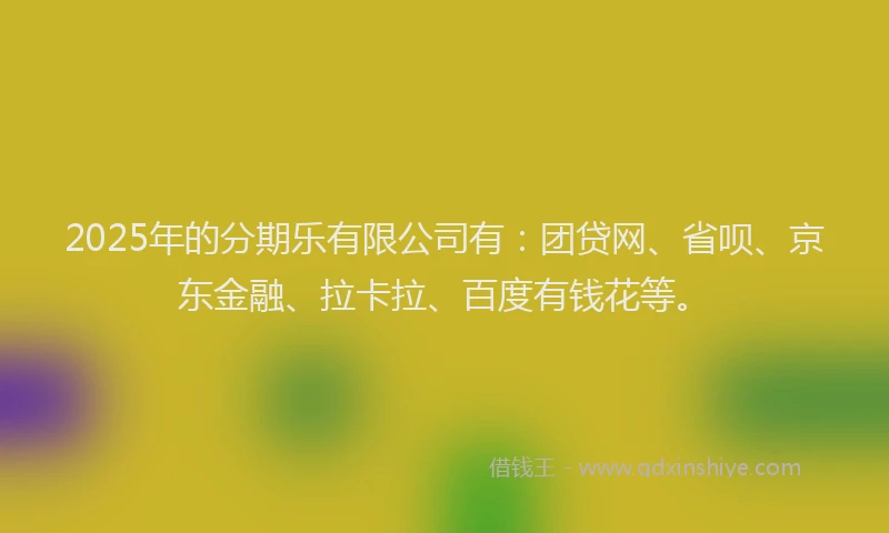 2025年的分期乐有限公司有：团贷网、省呗、京东金融、拉卡拉、百度有钱花等。