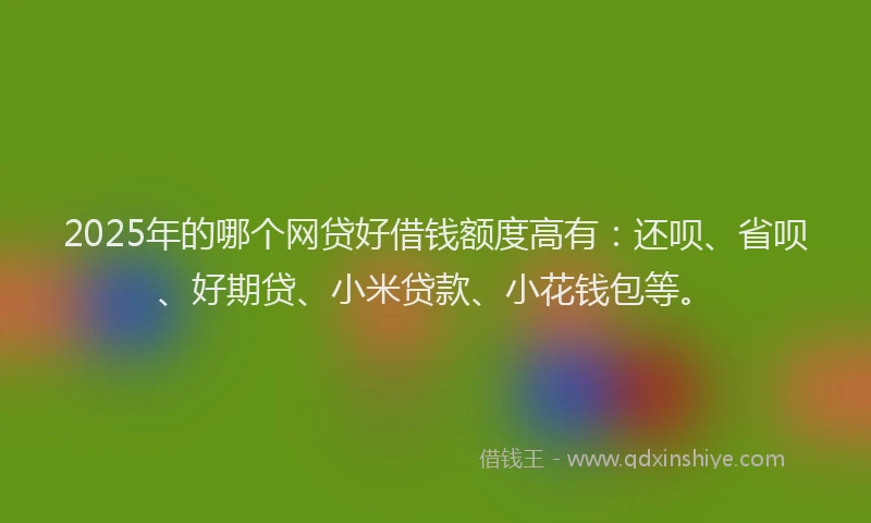 2025年的哪个网贷好借钱额度高有：还呗、省呗、好期贷、小米贷款、小花钱包等。