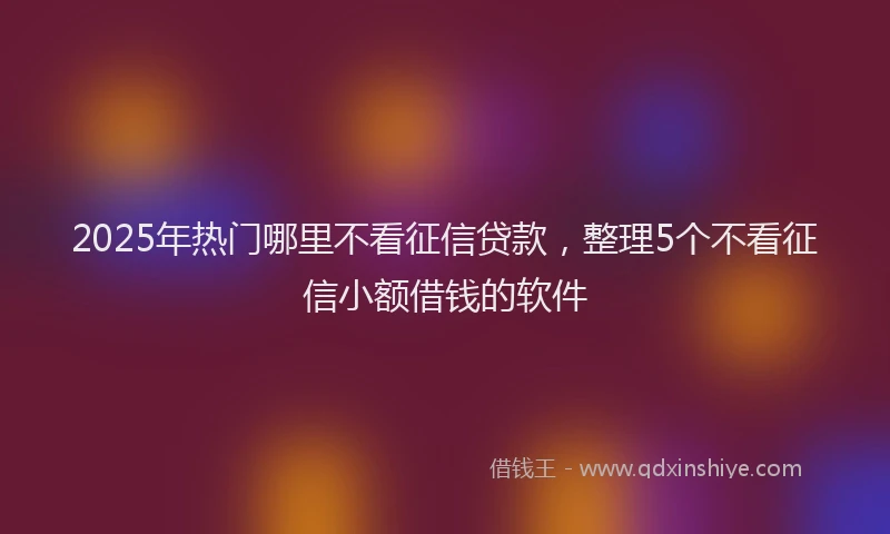 2025年热门哪里不看征信贷款，整理5个不看征信小额借钱的软件