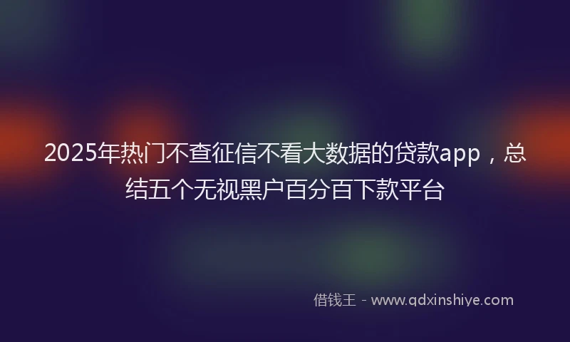 2025年热门不查征信不看大数据的贷款app，总结五个无视黑户百分百下款平台