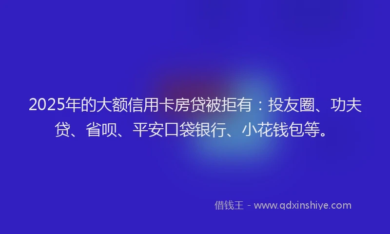 2025年的大额信用卡房贷被拒有：投友圈、功夫贷、省呗、平安口袋银行、小花钱包等。