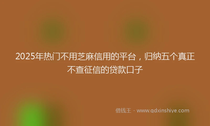 2025年热门不用芝麻信用的平台，归纳五个真正不查征信的贷款口子