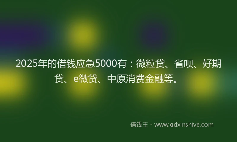 2025年的借钱应急5000有：微粒贷、省呗、好期贷、e微贷、中原消费金融等。