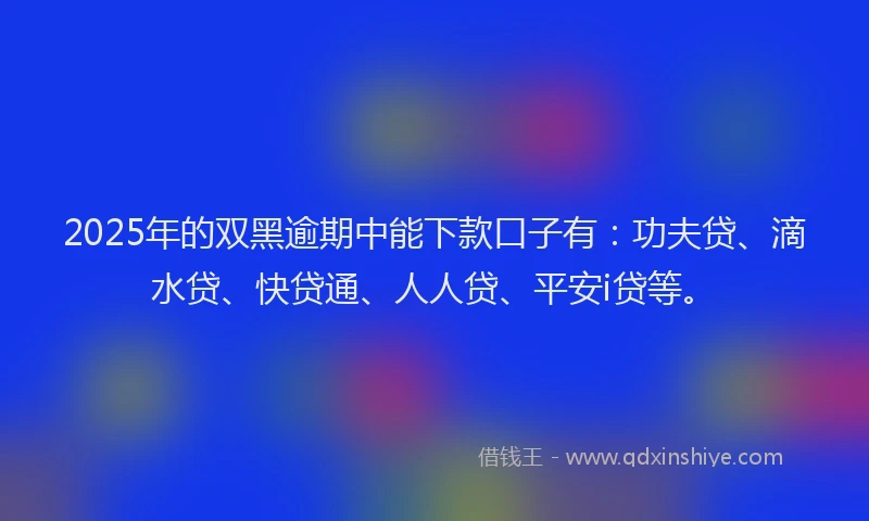 2025年的双黑逾期中能下款口子有：功夫贷、滴水贷、快贷通、人人贷、平安i贷等。