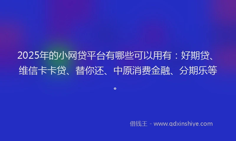 2025年的小网贷平台有哪些可以用有：好期贷、维信卡卡贷、替你还、中原消费金融、分期乐等。