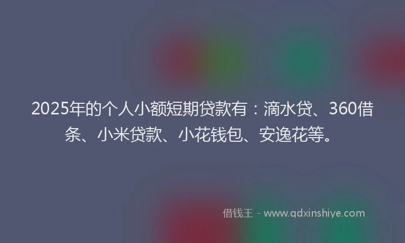 2025年的个人小额短期贷款有：滴水贷、360借条、小米贷款、小花钱包、安逸花等。