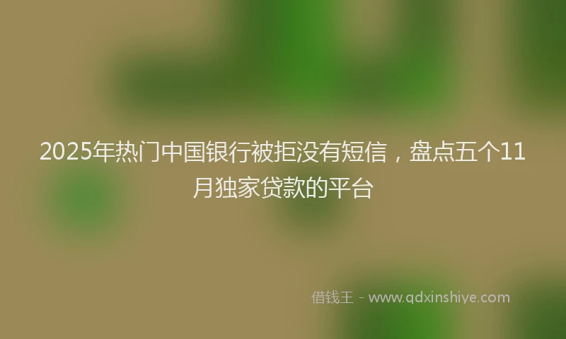 2025年热门中国银行被拒没有短信，盘点五个11月独家贷款的平台