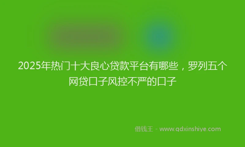 2025年热门十大良心贷款平台有哪些，罗列五个网贷口子风控不严的口子