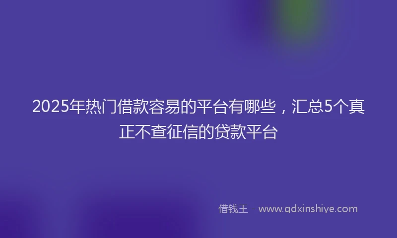 2025年热门借款容易的平台有哪些，汇总5个真正不查征信的贷款平台