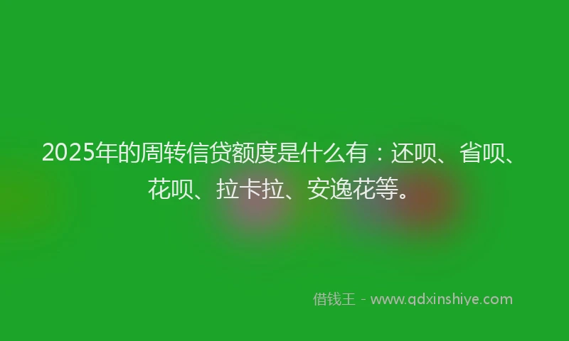 2025年的周转信贷额度是什么有：还呗、省呗、花呗、拉卡拉、安逸花等。