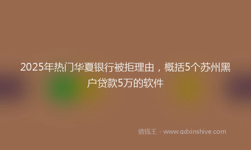 2025年热门华夏银行被拒理由，概括5个苏州黑户贷款5万的软件