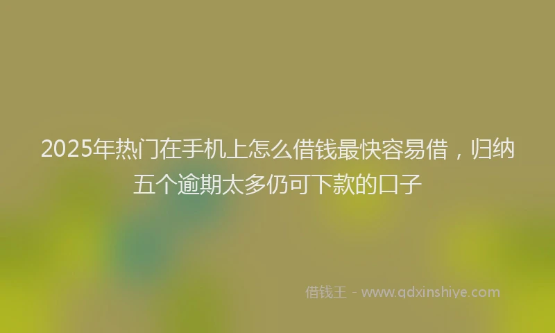 2025年热门在手机上怎么借钱最快容易借，归纳五个逾期太多仍可下款的口子