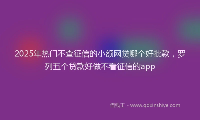 2025年热门不查征信的小额网贷哪个好批款，罗列五个贷款好做不看征信的app