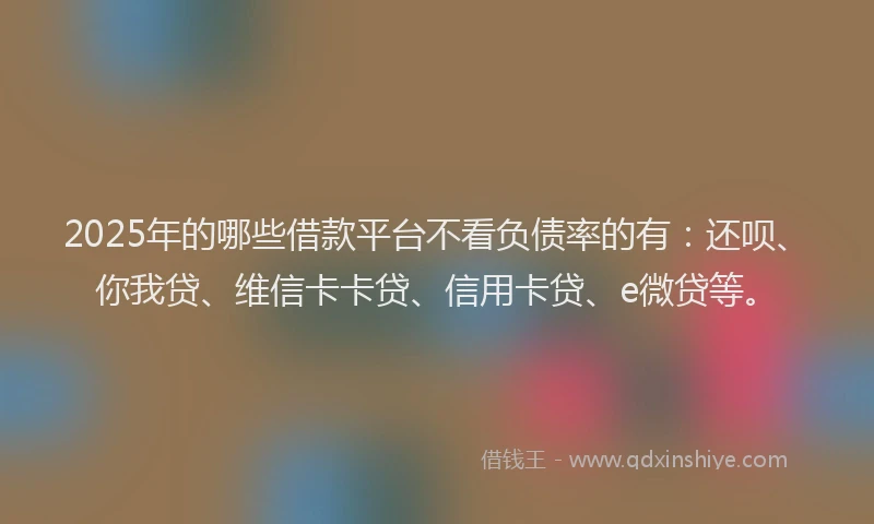 2025年的哪些借款平台不看负债率的有：还呗、你我贷、维信卡卡贷、信用卡贷、e微贷等。