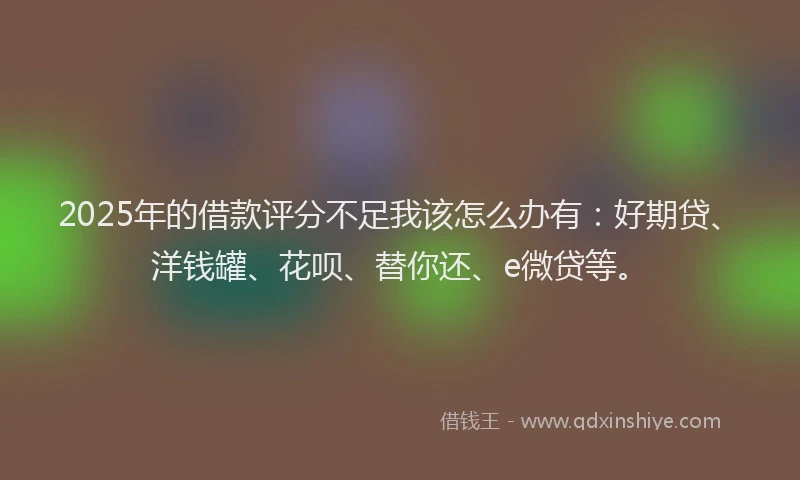 2025年的借款评分不足我该怎么办有：好期贷、洋钱罐、花呗、替你还、e微贷等。
