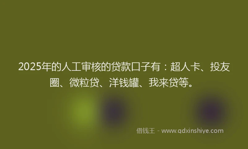 2025年的人工审核的贷款口子有：超人卡、投友圈、微粒贷、洋钱罐、我来贷等。