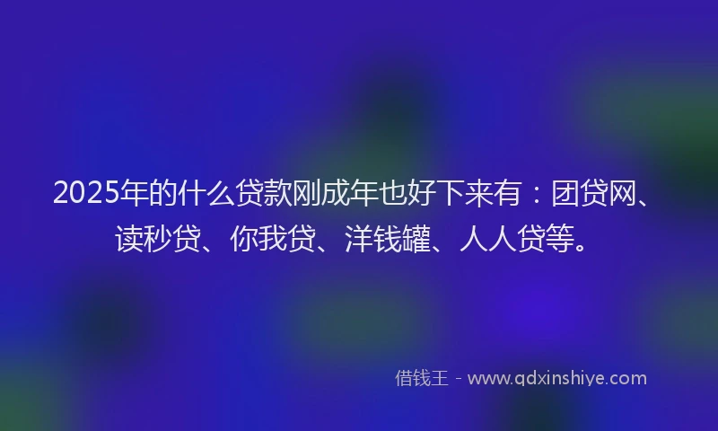 2025年的什么贷款刚成年也好下来有：团贷网、读秒贷、你我贷、洋钱罐、人人贷等。