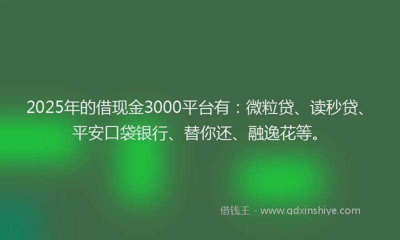 2025年的借现金3000平台有：微粒贷、读秒贷、平安口袋银行、替你还、融逸花等。