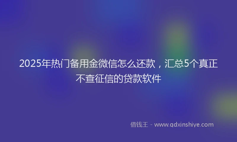 2025年热门备用金微信怎么还款，汇总5个真正不查征信的贷款软件