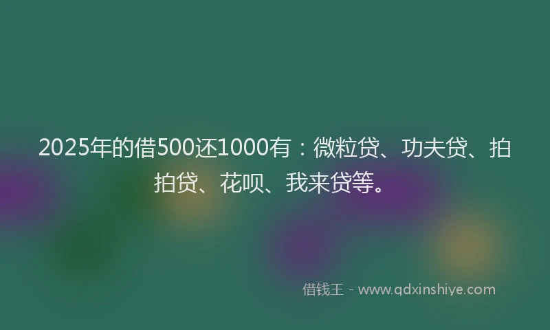2025年的借500还1000有：微粒贷、功夫贷、拍拍贷、花呗、我来贷等。