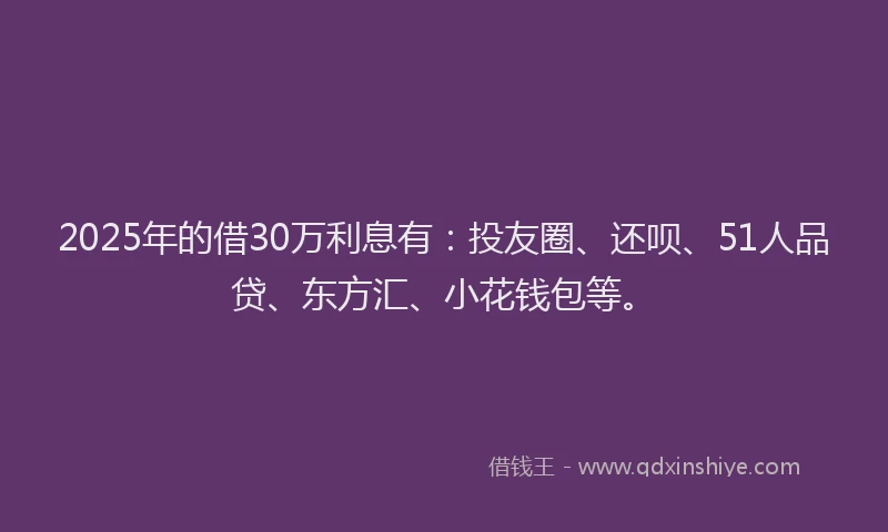 2025年的借30万利息有：投友圈、还呗、51人品贷、东方汇、小花钱包等。