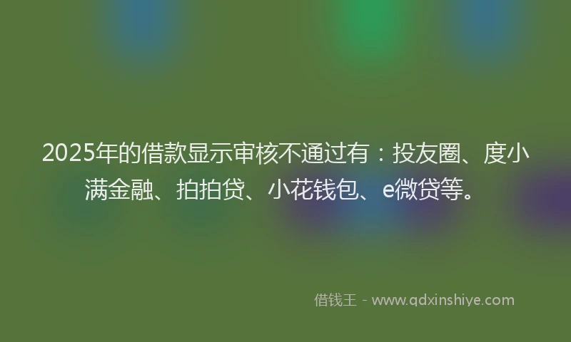 2025年的借款显示审核不通过有：投友圈、度小满金融、拍拍贷、小花钱包、e微贷等。