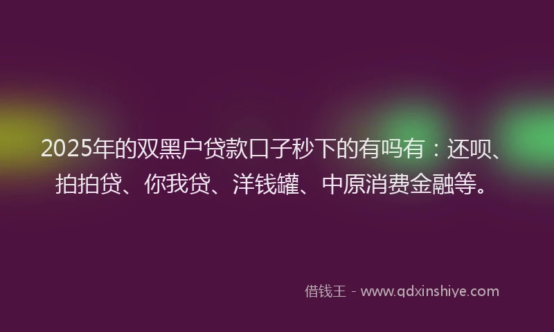 2025年的双黑户贷款口子秒下的有吗有：还呗、拍拍贷、你我贷、洋钱罐、中原消费金融等。