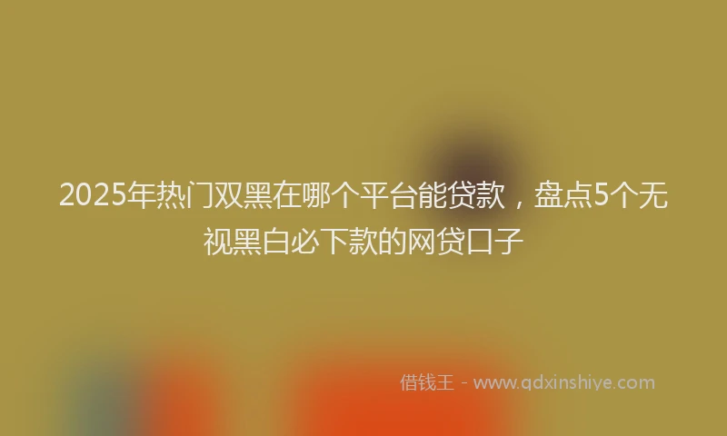 2025年热门双黑在哪个平台能贷款，盘点5个无视黑白必下款的网贷口子