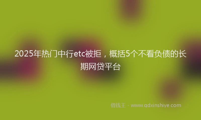 2025年热门中行etc被拒，概括5个不看负债的长期网贷平台