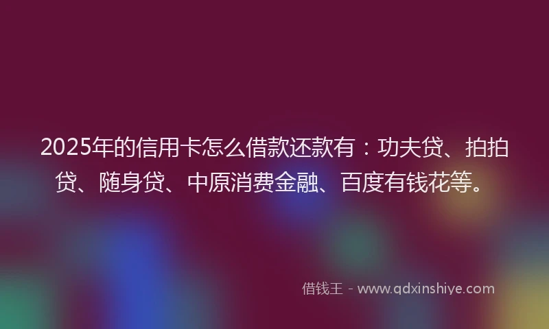 2025年的信用卡怎么借款还款有：功夫贷、拍拍贷、随身贷、中原消费金融、百度有钱花等。