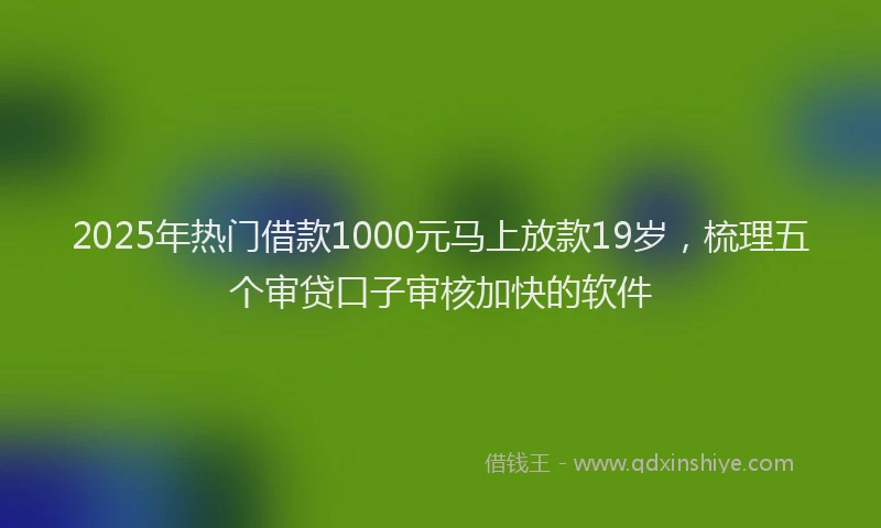 2025年热门借款1000元马上放款19岁，梳理五个审贷口子审核加快的软件