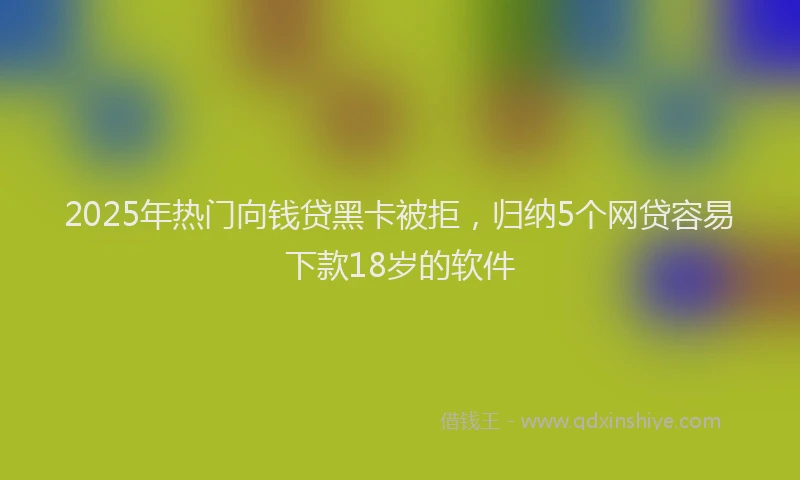 2025年热门向钱贷黑卡被拒，归纳5个网贷容易下款18岁的软件