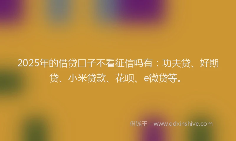 2025年的借贷口子不看征信吗有：功夫贷、好期贷、小米贷款、花呗、e微贷等。