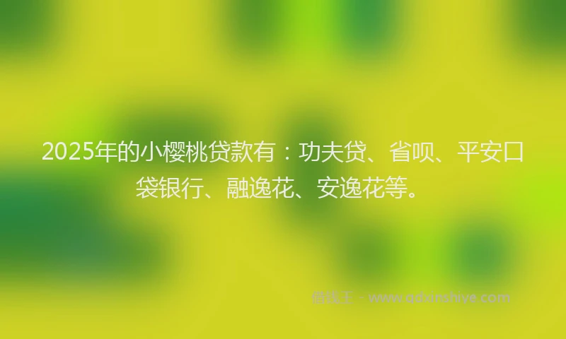 2025年的小樱桃贷款有：功夫贷、省呗、平安口袋银行、融逸花、安逸花等。