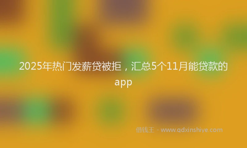 2025年热门发薪贷被拒，汇总5个11月能贷款的app