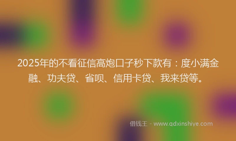 2025年的不看征信高炮口子秒下款有：度小满金融、功夫贷、省呗、信用卡贷、我来贷等。