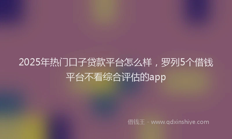 2025年热门口子贷款平台怎么样，罗列5个借钱平台不看综合评估的app