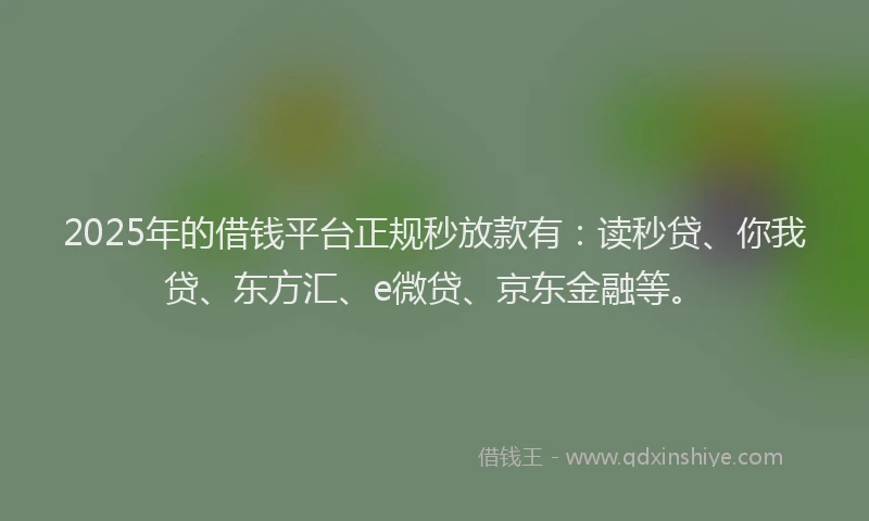 2025年的借钱平台正规秒放款有：读秒贷、你我贷、东方汇、e微贷、京东金融等。
