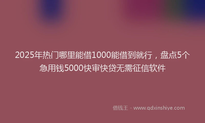 2025年热门哪里能借1000能借到就行，盘点5个急用钱5000快审快贷无需征信软件