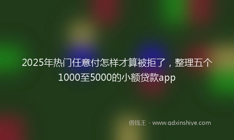 2025年热门任意付怎样才算被拒了，整理五个1000至5000的小额贷款app