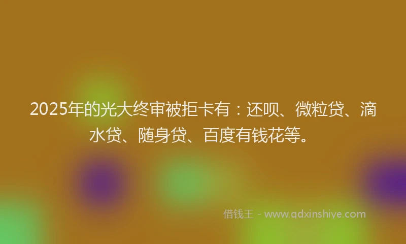 2025年的光大终审被拒卡有：还呗、微粒贷、滴水贷、随身贷、百度有钱花等。