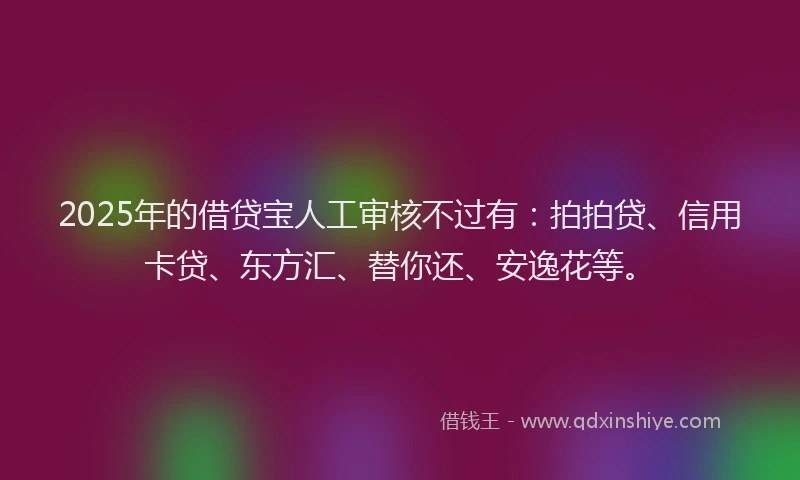 2025年的借贷宝人工审核不过有：拍拍贷、信用卡贷、东方汇、替你还、安逸花等。