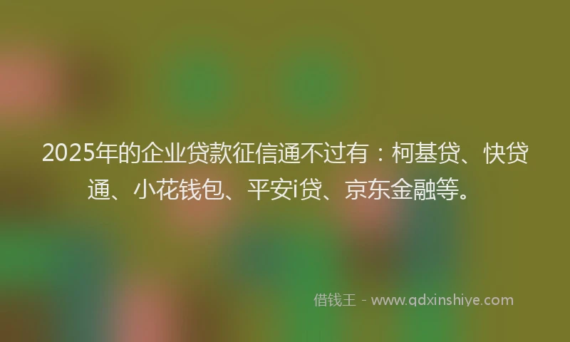 2025年的企业贷款征信通不过有：柯基贷、快贷通、小花钱包、平安i贷、京东金融等。